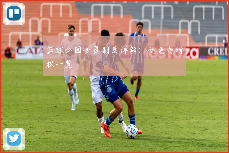 篮球公园会员制度详解：优惠与特权一览