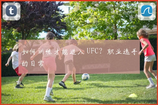 如何训练才能进入 UFC？职业选手的日常