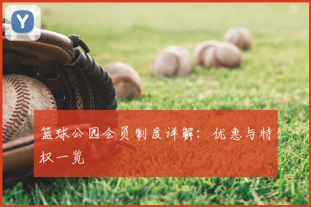 篮球公园会员制度详解：优惠与特权一览