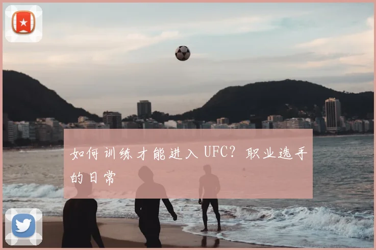 如何训练才能进入 UFC？职业选手的日常